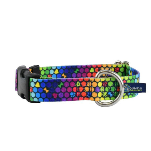 2Hounds Design ROY G BIV Dog Collar Small - Poudre Pet & Feed Supply